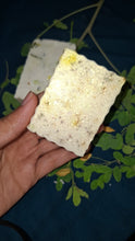 Load image into Gallery viewer, SAFFRON GOLD SOAP
